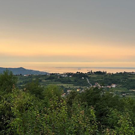 Guesthouse Green Istria Truske Экстерьер фото