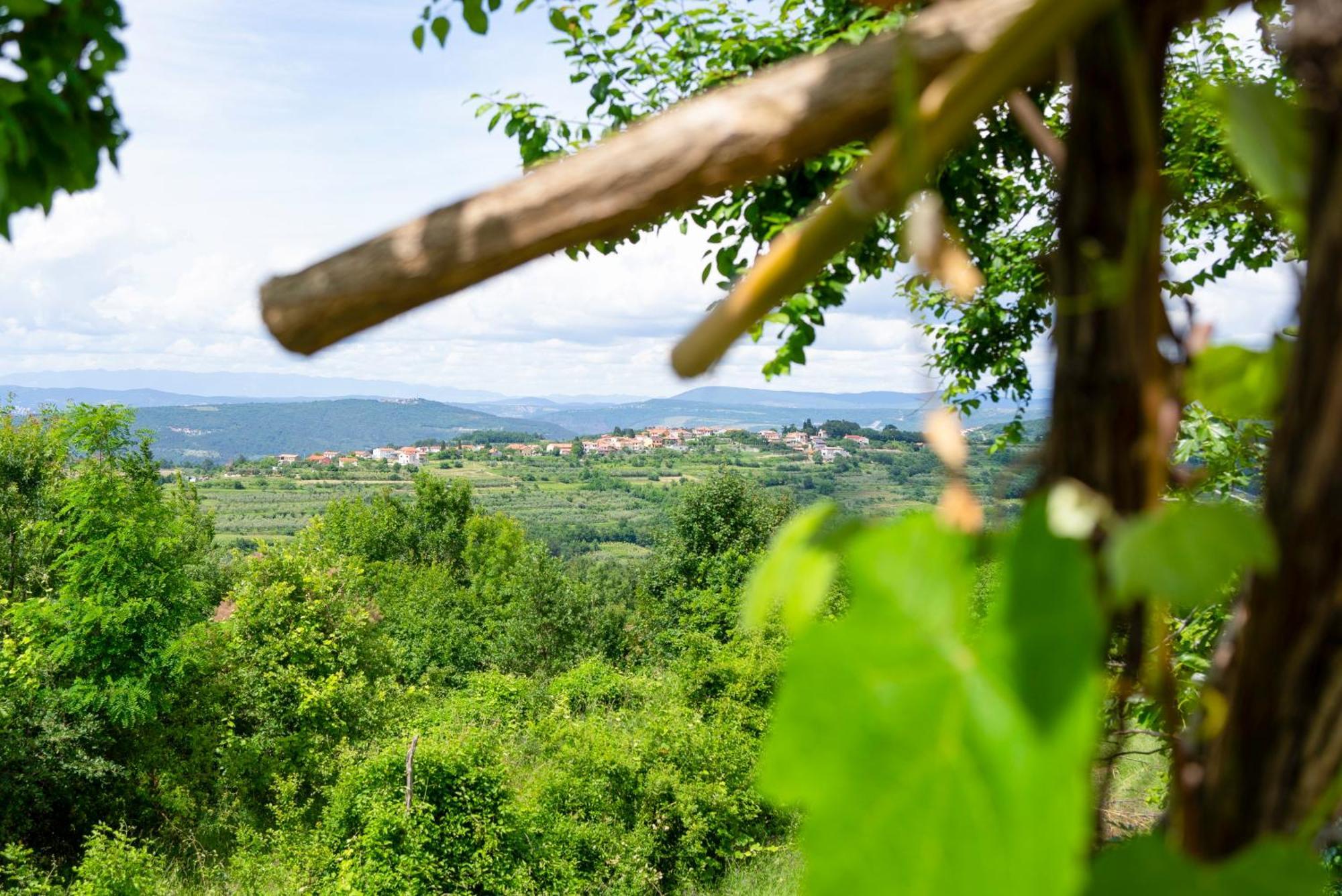 Guesthouse Green Istria Truske Экстерьер фото