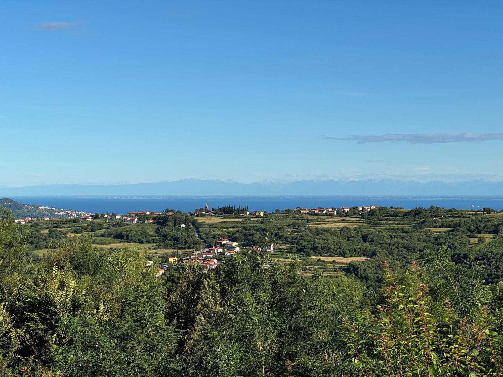 Guesthouse Green Istria Truske Экстерьер фото