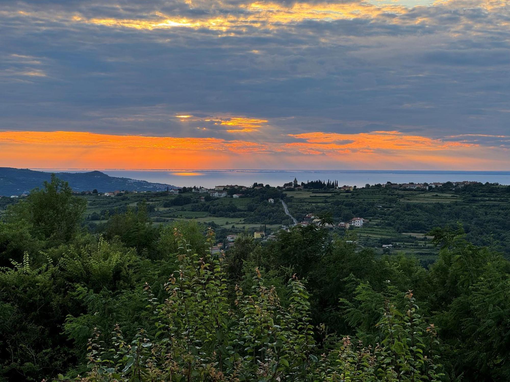 Guesthouse Green Istria Truske Экстерьер фото