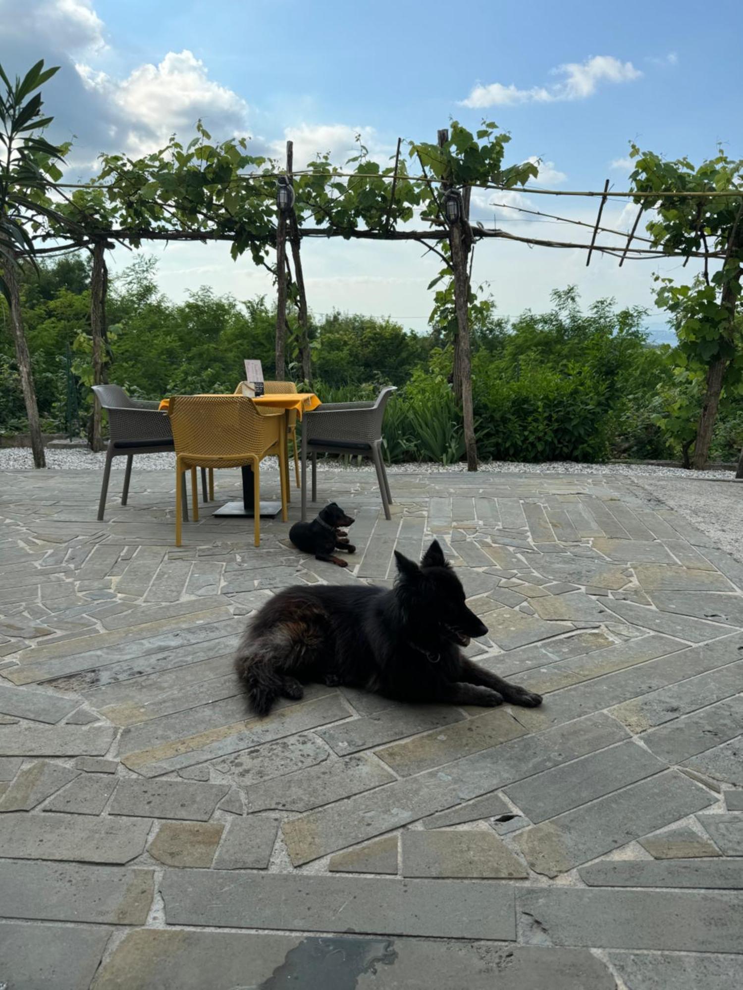 Guesthouse Green Istria Truske Экстерьер фото