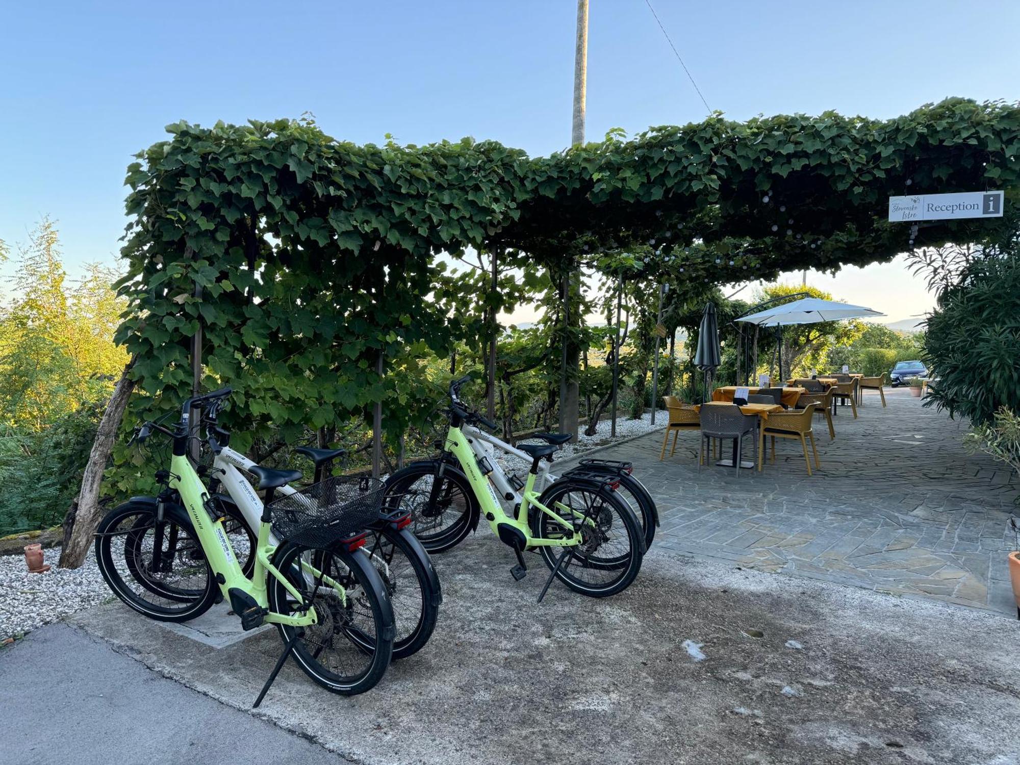 Guesthouse Green Istria Truske Экстерьер фото
