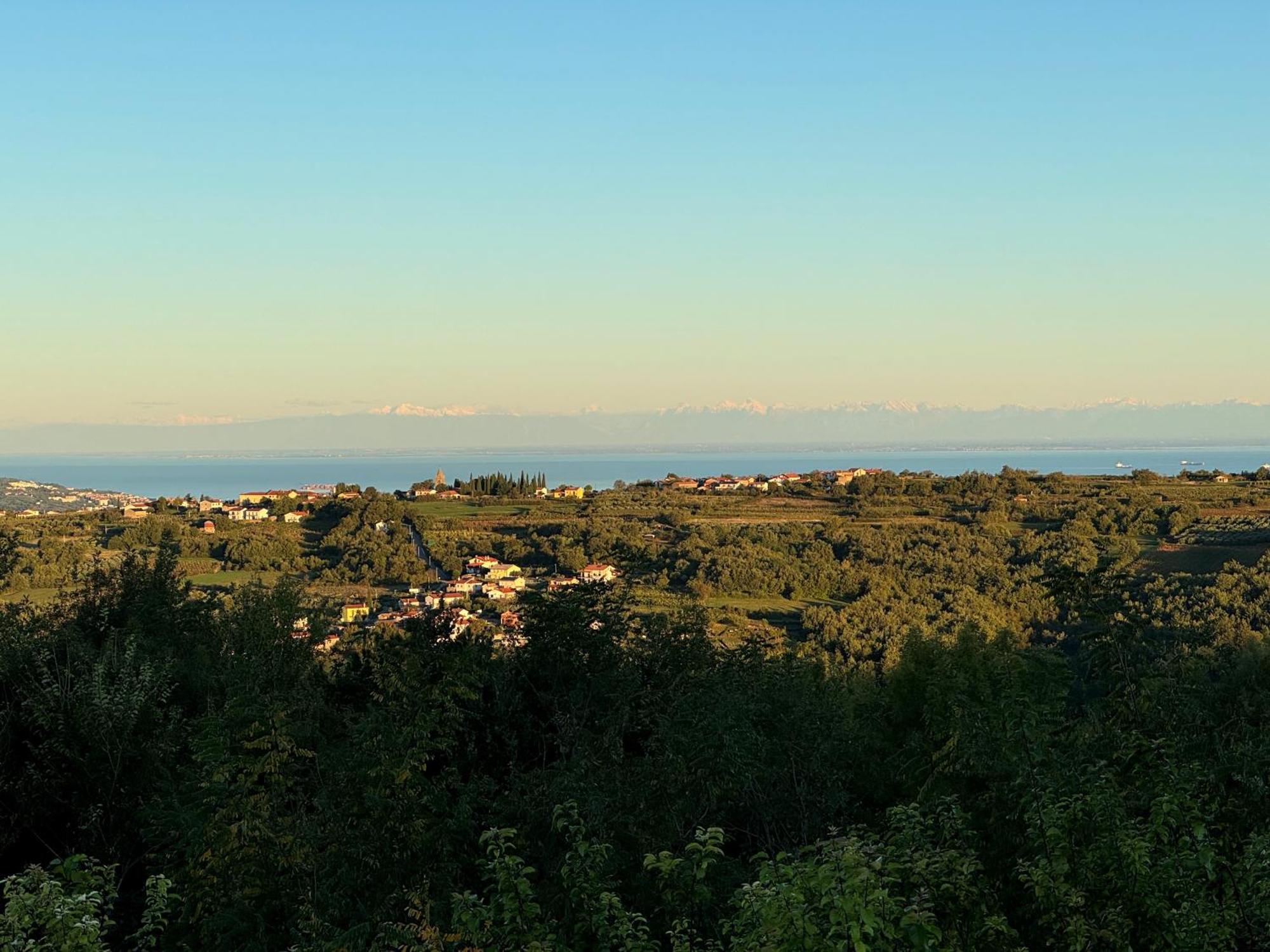 Guesthouse Green Istria Truske Экстерьер фото